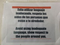 false cognate