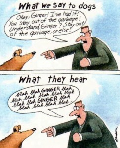 ginger far side