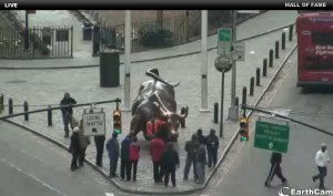 charging bull